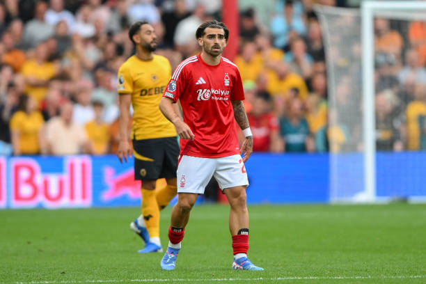 阵容中的球 阵容中的球